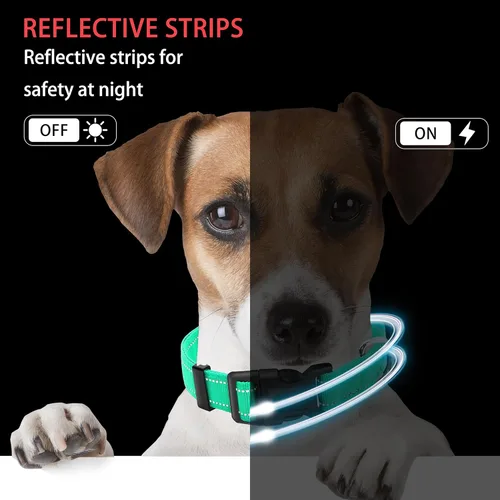 Miniatura 5 de collar reflectante para perros con hebilla de cierre de seguridad, collares de nailon ajustables, suaves y transpirables para perros pequeños