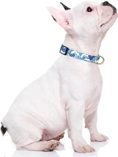 Miniatura 2 de Rnivvi Collar de perro para perros pequeños, lindo collar ajustable de alta resistencia para cachorros con hebilla de liberación rápida para niño