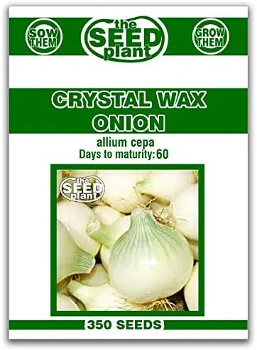 Semillas de cebolla Crystal Wax - 350 semillas sin OMG