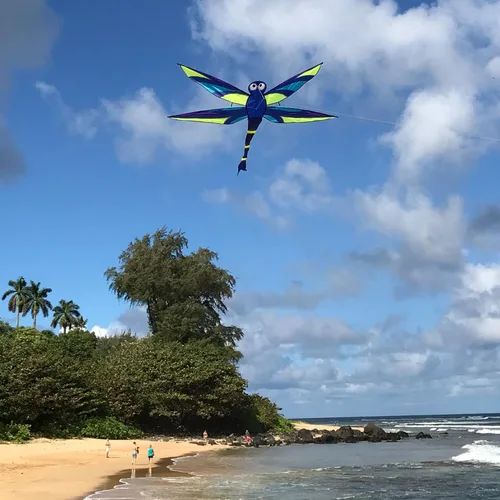 Miniatura 2 de In the Breeze Harmony Dragonfly Kite, 57 pulgadas de ancho x 44 pulgadas de alto, 3141