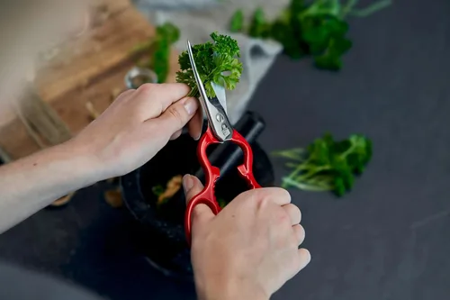Miniatura 3 de Zwilling 43924-200 - Tijeras de cocina clásicas de acero inoxidable, color rojo, fabricadas en Alemania
