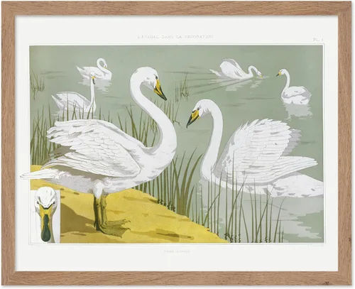 Miniatura 53 de Poster Master Vintage James Audubon Póster - Impresión Retro de Cuervo - Arte de Aves de América - Arte de Aves - Regalo para Hombres, Mujeres