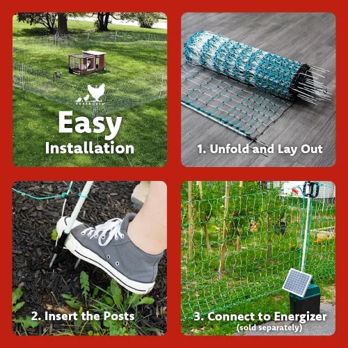 Miniatura 3 de RentACoop Valla eléctrica de red para aves de corral, recinto eléctrico para aves de corral para pollos, patos, pavos - Adecuado para pollos de 4