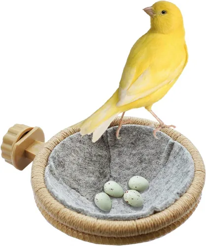 Miniatura 4 de FOIBURELY 8 huevos de plástico canarios sólidos para incubar huevos para engañar a los pájaros para dejar de poner huevos, huevos falsos