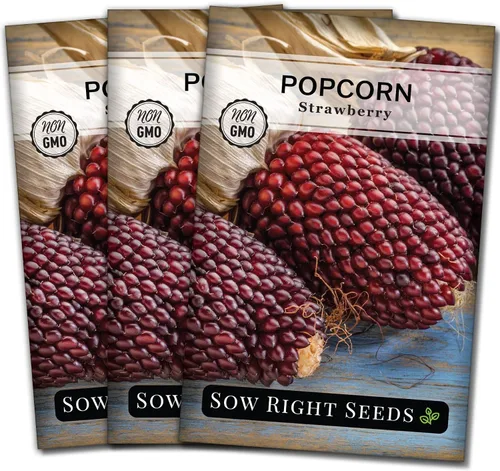 Miniatura 8 de Sow Right Seeds - Semilla de maíz de fresa para plantar - Paquete de reliquia sin OMG con instrucciones para plantar un huerto casero - Cultiva tus