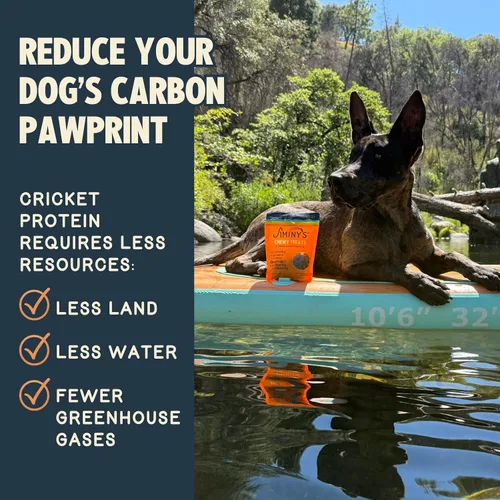 Miniatura 5 de Jiminy's Golosinas masticables de entrenamiento de cricket para perros, bajas en calorías, hipoalergénicas, fabricadas en Estados Unidos, 6 onzas