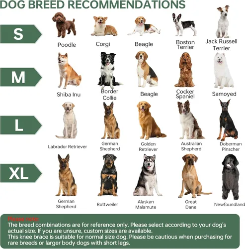 Miniatura 8 de Soporte ajustable para patas traseras de perro para perros pequeños a grandes, rodillera de perro para pierna trasera desgarrada con estabilizador