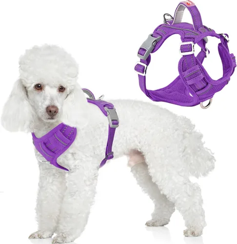 Miniatura 52 de BARKBAY Arnés para perro sin tirones con bolsillo para etiqueta de identificación, resistente, reflectante, fácil control para perros grandes
