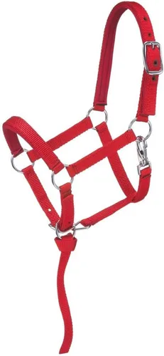 Tough 1 Cabestro miniatura acolchado de nailon Rojo