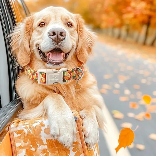 Miniatura 5 de Collar de otoño para perro, lindo collar de cachorro con hojas de otoño, ligero, cómodo, ajustable, para mascotas pequeñas, medianas y grandes