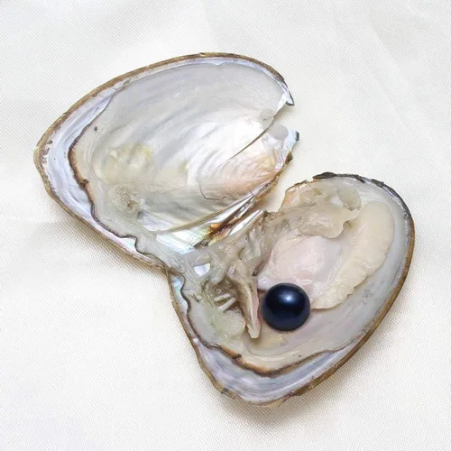 Miniatura 5 de XUDREZ Perlas de ostra natural, 50 unidades/lote, ostras monstruosas con perlas en el interior, a granel real en ostras, perlas ovaladas de agua