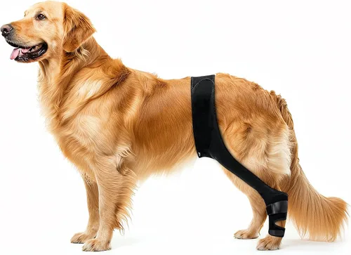 Lycon Rodillera para perro para soporte de ACL - Estabilizador ajustable para patas traseras y articulaciones - Soporte de pierna trasera para