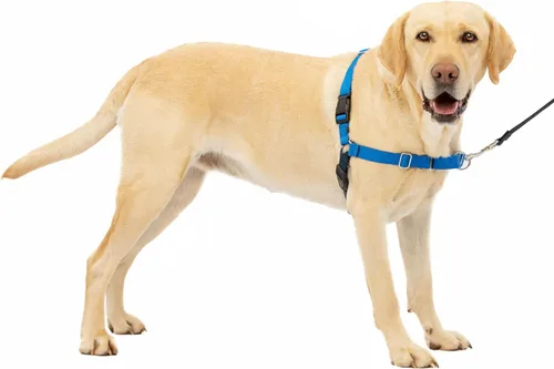 Miniatura 43 de Arnés de paseo fácil de PetSafe, M, azul rey/azul marino