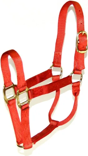 Miniatura 12 de Hamilton Quality Horse Halter, nailon de triple capa de 1 pulgada, anilla o burro estándar, 300-500 libras, rojo Rojo (Red Brick)