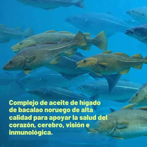 Miniatura 4 de Aceite de hígado de bacalao salvaje capturado 2,000mg por porción, 240 cápsulas blandas – EPA DHA Omega 3 de fuerza extra con vitamina D y A – sin