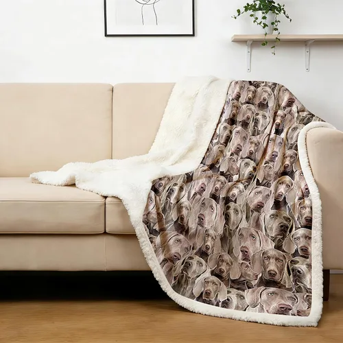 Miniatura 21 de BlessLiving Golden Retriever - Manta con patrones densos de perros, manta de forro polar Sherpa para sofá cama, manta suave y acogedora