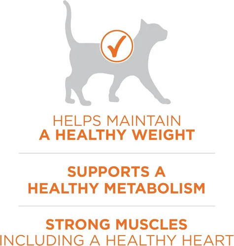 Miniatura 3 de Purina ONE Alto Contenido de Proteínas, Peso Saludable Más Peso Ideal Con Pollo Comida Seca Para Gatos - Bolsa de 3.5 lb