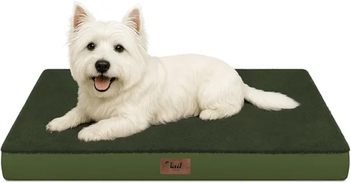 Miniatura 59 de Cama ortopédica de felpa para perros y cachorros medianos, camas impermeables para perros de 30 x 20 pulgadas con funda extraíble lavable, tapete