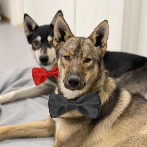 Miniatura 6 de Pajarita negra y roja para perros, lazo rojo y negro para perro Koolmox con collar ajustable para perros medianos y grandes, gatos, mascotas, boda