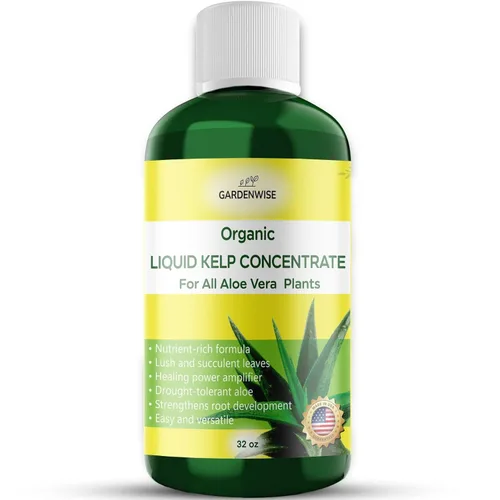 Miniatura 67 de GARDENWISE Fertilizante orgánico prémium de anturio de algas marinas – Alimento líquido para plantas de algas marinas – Potenciador de suelo rico