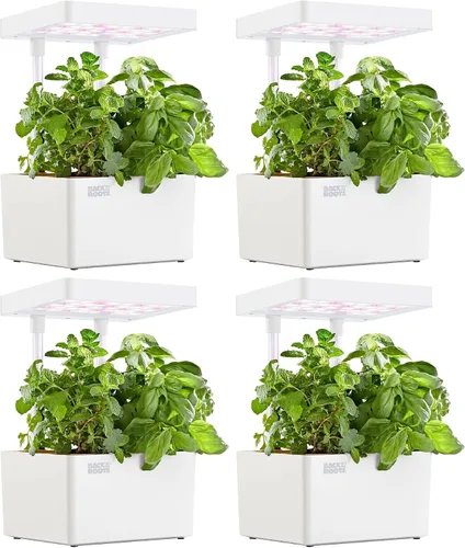 Miniatura 6 de Back to the Roots v1.0 Kit de cultivo hidropónico, Modelo 2022