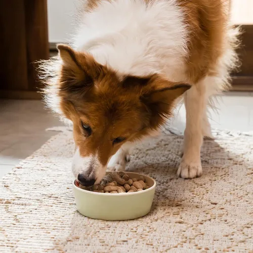 Miniatura 3 de Open Farm, Comida para Perros Cruda Deshidratada, Trozos con 95% de Carne, Órganos y Hueso, Productos Orgánicos y Superalimentos, Comida Completa