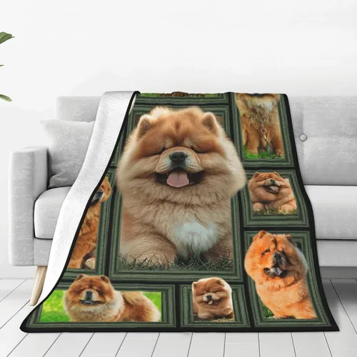 Miniatura 13 de Manta decorativa de béisbol – Cómodo forro polar de franela de felpa, ligera, cálida, suave, esponjosa, difusa, 40 x 50 pulgadas para niños, niños