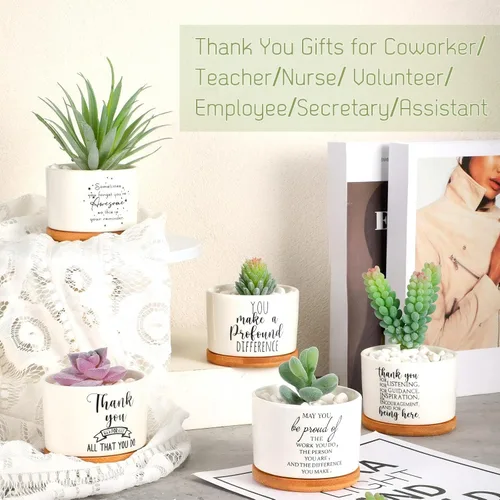 Miniatura 4 de Yaomiao 20 piezas de regalo de la semana de CNA, regalos de agradecimiento a los empleados, regalos de plantas suculentas a granel para mujeres
